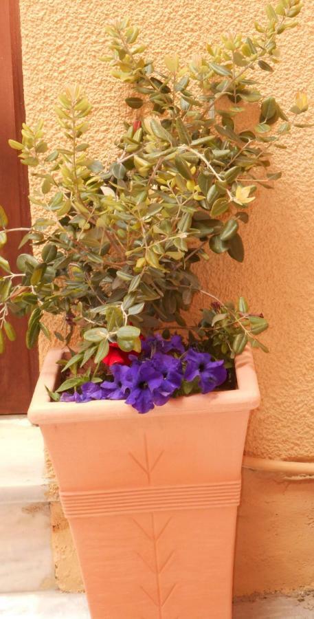 ארמופוליס Elegant And Comfortable Apartment In The City Center מראה חיצוני תמונה